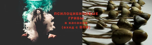 MESCALINE Алзамай