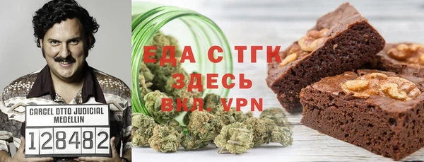прущие грибы Новозыбков
