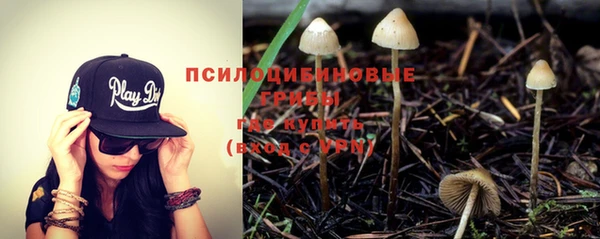 дурь Алексин