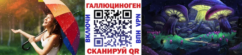 kraken вход  Данилов  Галлюциногенные грибы Cubensis 