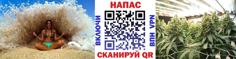 купить наркоту  Данилов  Бошки марихуана MAZAR 